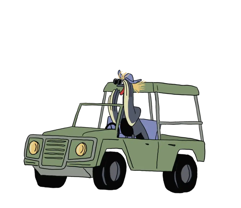 Illustration d'une grue couronnée observant aux jumelles depuis un 4x4 de safari